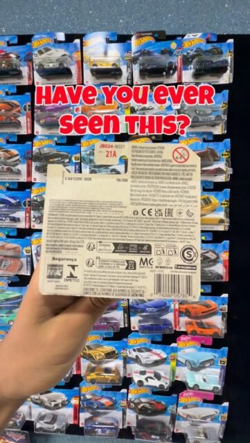Have you ever seen this? 🫣
#hotwheels #diecast #cars #fyp #relatable