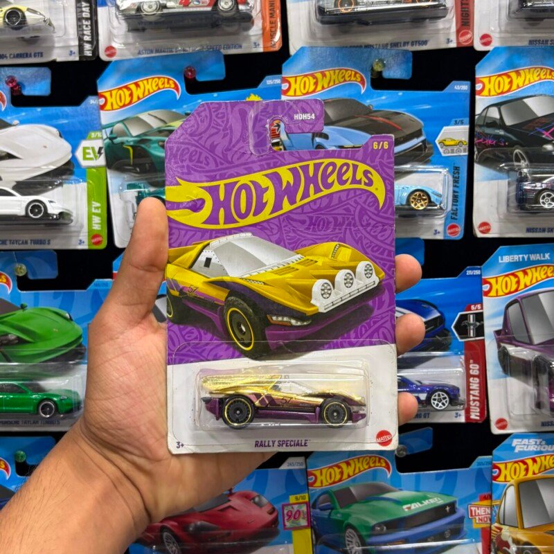 RALLY SPECIALE | CHASE